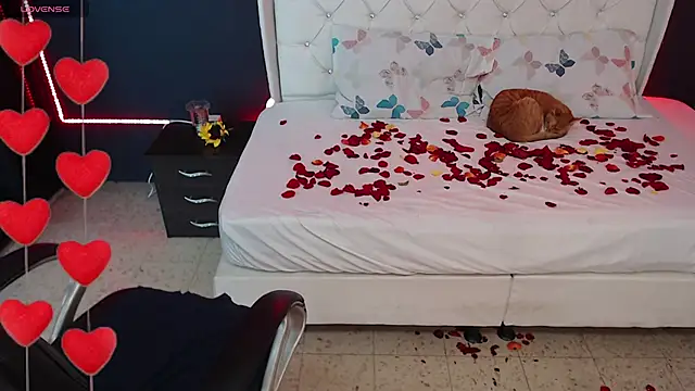 Danielle-Smithh online show from February 15, 2025, 8:11 am