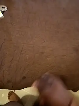 pedritolobito online show from February 6, 2025, 3:20 pm