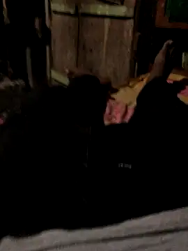 GapingConker online show from October 31, 2025, 11:40 am