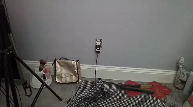 BluEyeGemini333 online show from December 26, 2024, 11:43 am