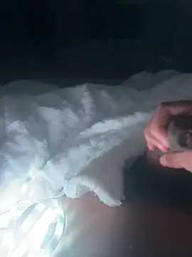 mallllll273838ko online show from December 16, 2024, 11:18 pm