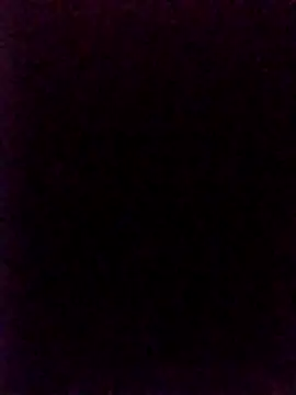 SteadyTientsin online show from November 16, 2025, 7:57 am