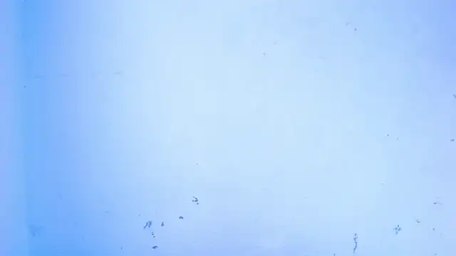 April sexycurvi online show from September 18, 2025, 7:55 am