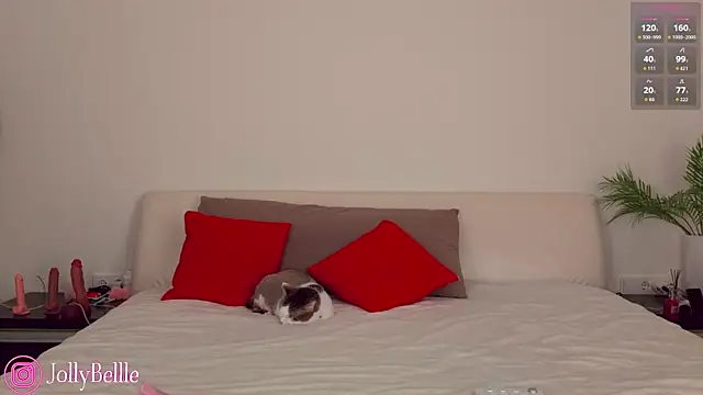 jolly bellle online show from November 15, 2025, 1:20 am