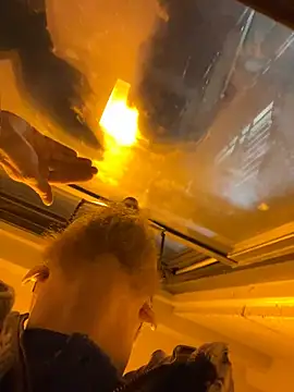 luv2cum7491 online show from February 27, 2025, 4:46 am