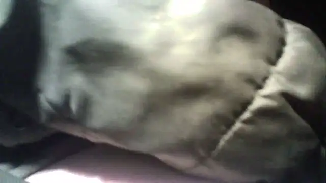 Snapshot of oliveirinhafotografo chatting on March 5, 2025, 10:54 pm oliveirinhafotografo online show from March 5, 2025, 10:54 pm