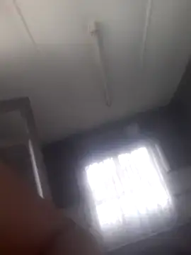 Feathergal69  online show from February 2, 2025, 8:56 am