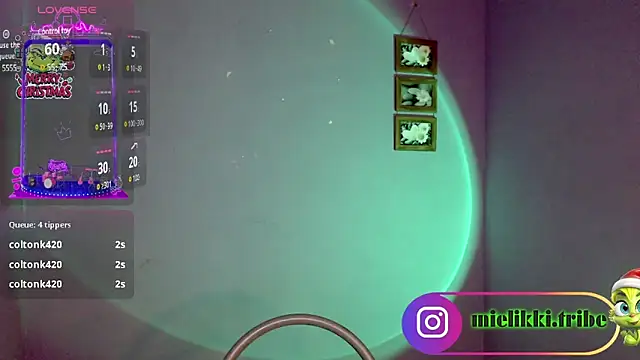 mielikki001 online show from January 1, 2025, 5:43 am