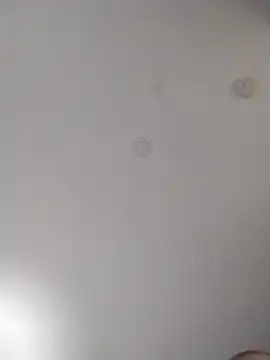 Snapshot of geilerschwanz64 chatting on October 10, 2025, 6:03 am geilerschwanz64 online show from October 10, 2025, 6:03 am