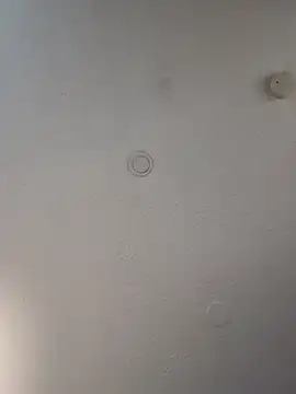 Snapshot of geilerschwanz64 chatting on March 21, 2025, 6:05 am geilerschwanz64 online show from March 21, 2025, 6:05 am