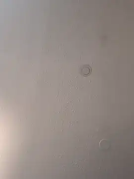 Snapshot of geilerschwanz64 chatting on March 18, 2025, 3:55 pm geilerschwanz64 online show from March 18, 2025, 3:55 pm