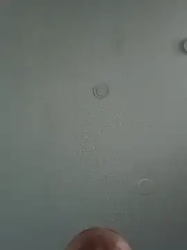 Snapshot of geilerschwanz64 chatting on February 4, 2025, 12:55 pm geilerschwanz64 online show from February 4, 2025, 12:55 pm