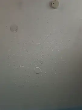 Snapshot of geilerschwanz64 chatting on February 3, 2025, 5:46 pm geilerschwanz64 online show from February 3, 2025, 5:46 pm