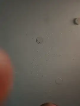 Snapshot of geilerschwanz64 chatting on March 3, 2025, 5:52 pm geilerschwanz64 online show from March 3, 2025, 5:52 pm