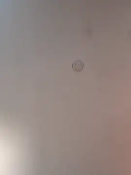 Snapshot of geilerschwanz64 chatting on March 10, 2025, 8:28 am geilerschwanz64 online show from March 10, 2025, 8:28 am