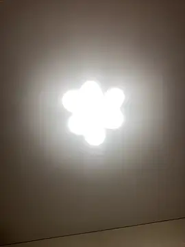 Janet Welder online show from December 22, 2024, 12:28 am