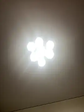 Janet Welder online show from December 16, 2024, 4:34 am