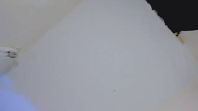 missycanoo online show from October 22, 2025, 12:43 am