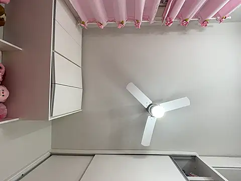 lariic online show from March 10, 2025, 12:49 pm