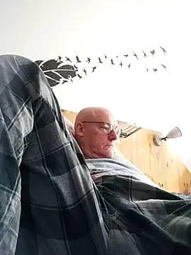 Snapshot of bogland33 chatting on October 4, 2025, 12:17 pm bogland33 online show from October 4, 2025, 12:17 pm