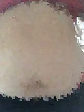 Snapshot of ahross chatting on April 8, 2026, 9:33 am ahross online show from April 8, 2026, 9:33 am