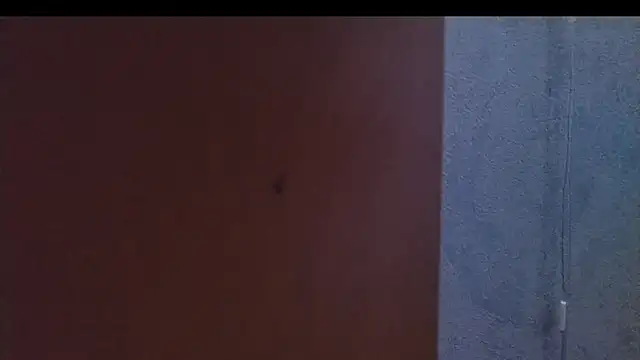 nextdoorneighbor online show from January 9, 2025, 12:30 pm