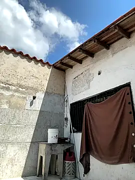 Leo bunny hot online show from September 24, 2025, 6:03 pm