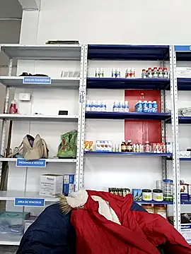 Megan jennerr online show from November 5, 2025, 3:04 pm