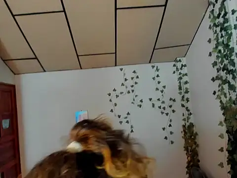 fulfill fantasies1 online show from February 17, 2026, 12:57 pm