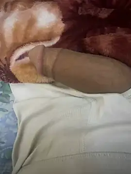 Snapshot of hamed-697 chatting on February 19, 2025, 6:44 am hamed-697 online show from February 19, 2025, 6:44 am