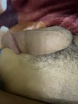 Snapshot of hamed-697 chatting on December 7, 2024, 11:29 pm hamed-697 online show from December 7, 2024, 11:29 pm