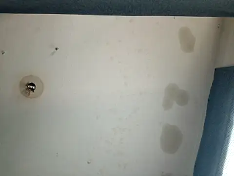 DevinToore online show from October 17, 2025, 9:49 pm