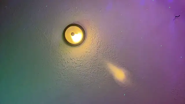 Snapshot of Dani_Dragon69 chatting on February 14, 2025, 8:42 am Dani Dragon69 online show from February 14, 2025, 8:42 am