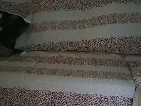 VeneRed online show from April 17, 2026, 9:45 am