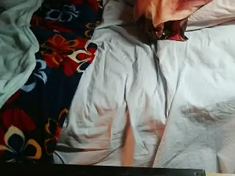 VeneRed online show from April 18, 2026, 7:29 pm