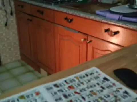 VeneRed online show from November 17, 2025, 6:17 am