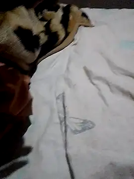 KGman91 online show from November 28, 2025, 9:48 pm