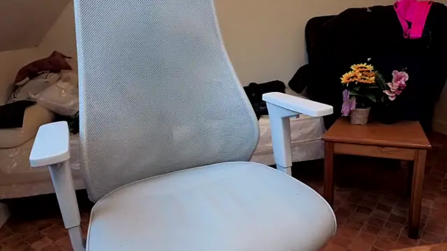 SteveStiffbone online show from February 16, 2026, 2:37 pm