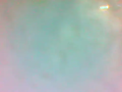 TheDoggyAss online show from April 19, 2026, 9:50 pm