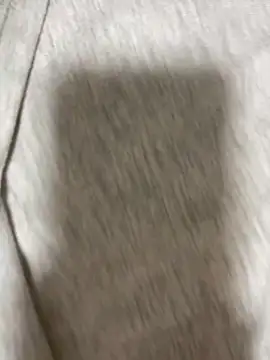 mochi mo chi  online show from September 19, 2025, 2:43 pm