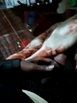 Snapshot of Antor1234 chatting on December 15, 2024, 6:37 pm Antor1234 online show from December 15, 2024, 6:37 pm