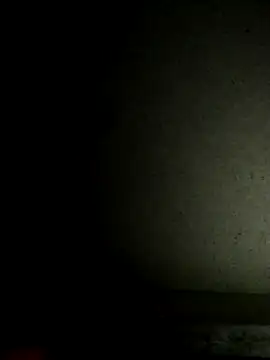 Leocesar37 online show from November 19, 2025, 4:29 pm