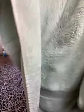 Mingtian4117 online show from January 14, 2026, 1:48 pm