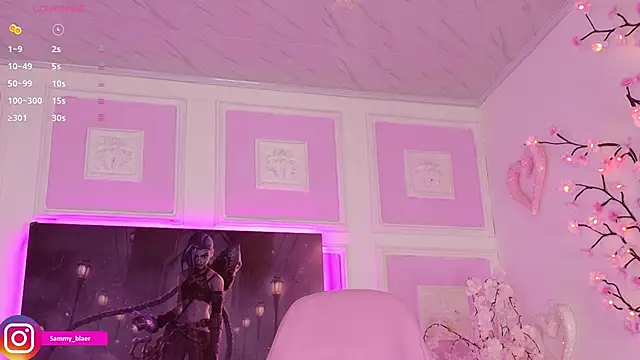 Snapshot of Sammyblaer chatting on February 26, 2026, 9:04 pm Sammyblaer online show from February 26, 2026, 9:04 pm