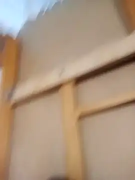 PequeArely online show from December 24, 2024, 2:54 pm