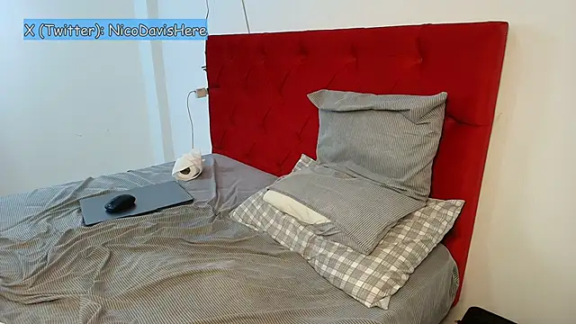 Snapshot of NicoDavisHere chatting on February 1, 2026, 8:07 pm NicoDavisHere online show from February 1, 2026, 8:07 pm