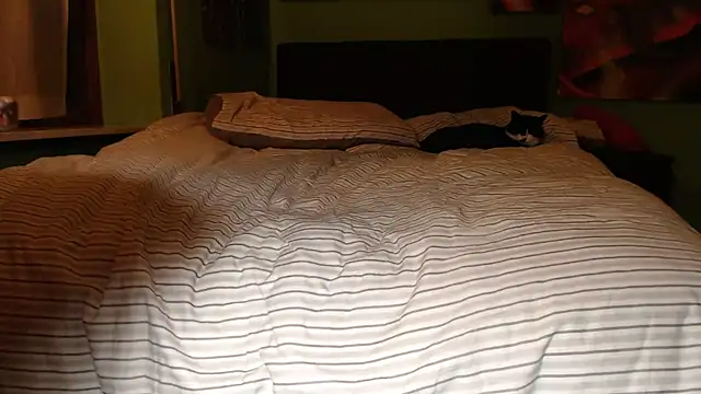 MASTERBULLY online show from February 19, 2025, 11:36 pm