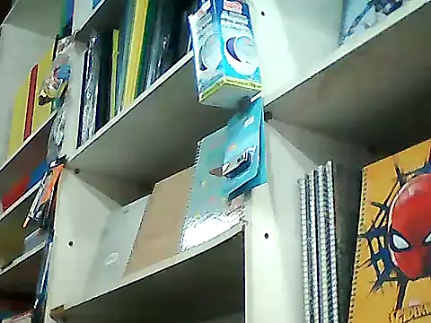 Snapshot of barboza991 chatting on October 15, 2025, 7:33 pm barboza991 online show from October 15, 2025, 7:33 pm