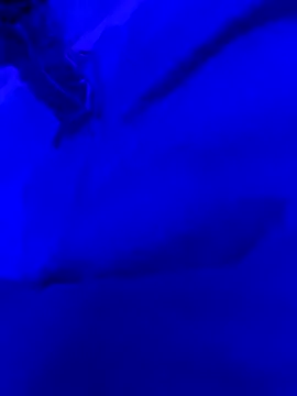 Hugo76578 online show from October 10, 2025, 11:33 am