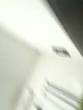 Snapshot of joselo8888 chatting on November 14, 2025, 3:48 pm joselo8888 online show from November 14, 2025, 3:48 pm